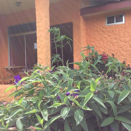 Cabinas Los Guayabos Otel La Fortuna Dış mekan fotoğraf