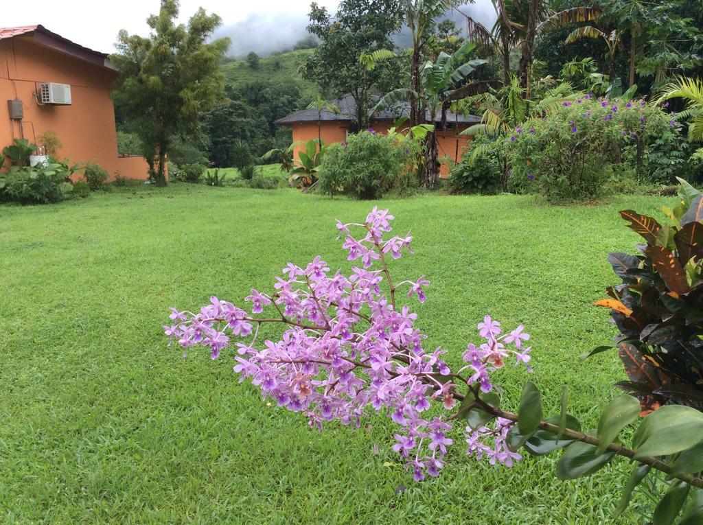 Cabinas Los Guayabos Otel La Fortuna Dış mekan fotoğraf