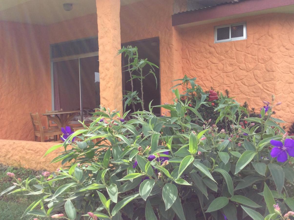 Cabinas Los Guayabos Otel La Fortuna Dış mekan fotoğraf